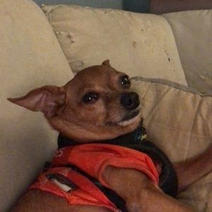 Meet your Posher, Sergio